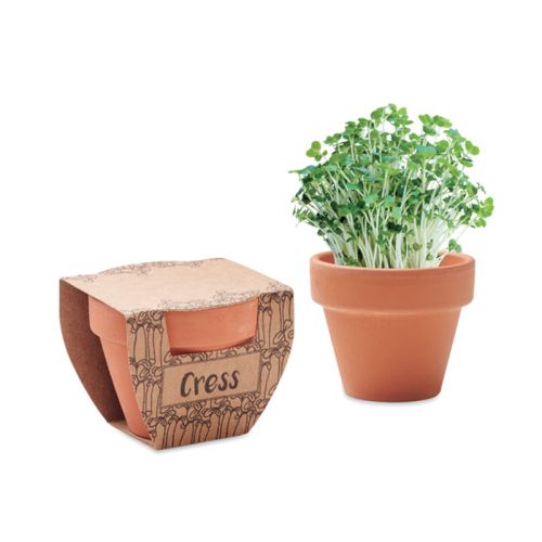 Terracotta pot Cress - Image 3